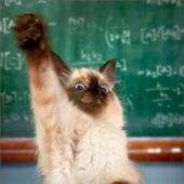 Profile picture of Student Test